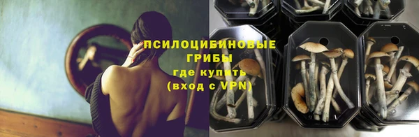 круглые Аркадак