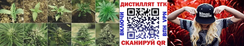 ТГК вейп кракен Северская