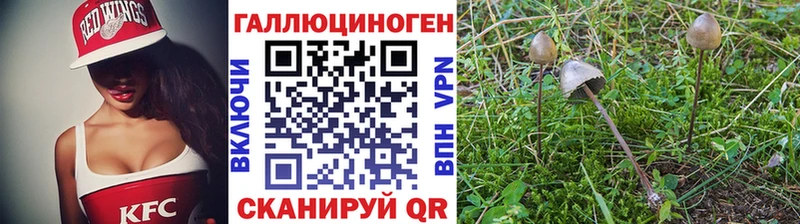 Галлюциногенные грибы Psilocybine cubensis цены наркотик hydra ССЫЛКА Северская